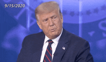 I Dont Think So Donald Trump GIF by Election 2020