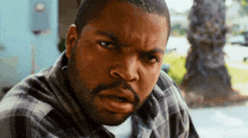 Ice Cube Reaction GIF Ice Cube Reaction GIF