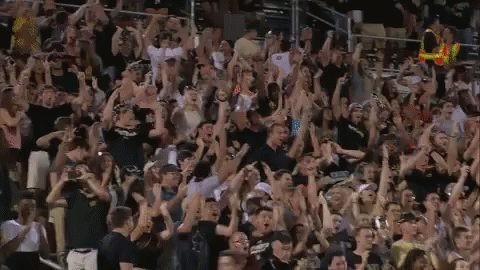 Crowd Cheering GIF - Crowd Cheering - Discover & Share GIFs