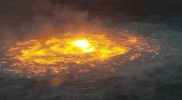 Climate Change Fire GIF by GIPHY News