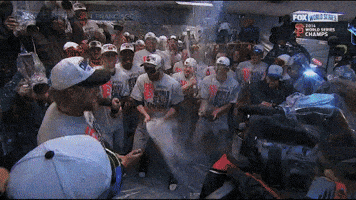 baseball mlb GIF baseball mlb GIF