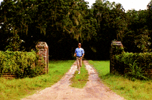 run discover GIF run discover GIF