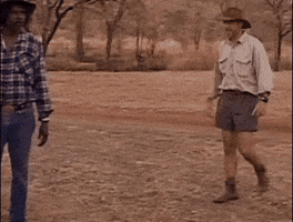 level GIF level GIF