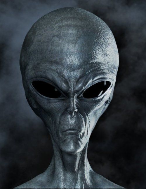 6dd929d3b1852418d309cbefa02e2fc7--grey-alien-alien-art.jpg