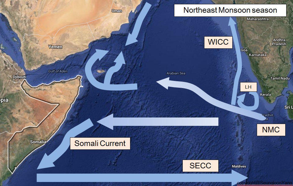 Southward_Somali_Current_during_Northeast_Indian_Monsoon.png