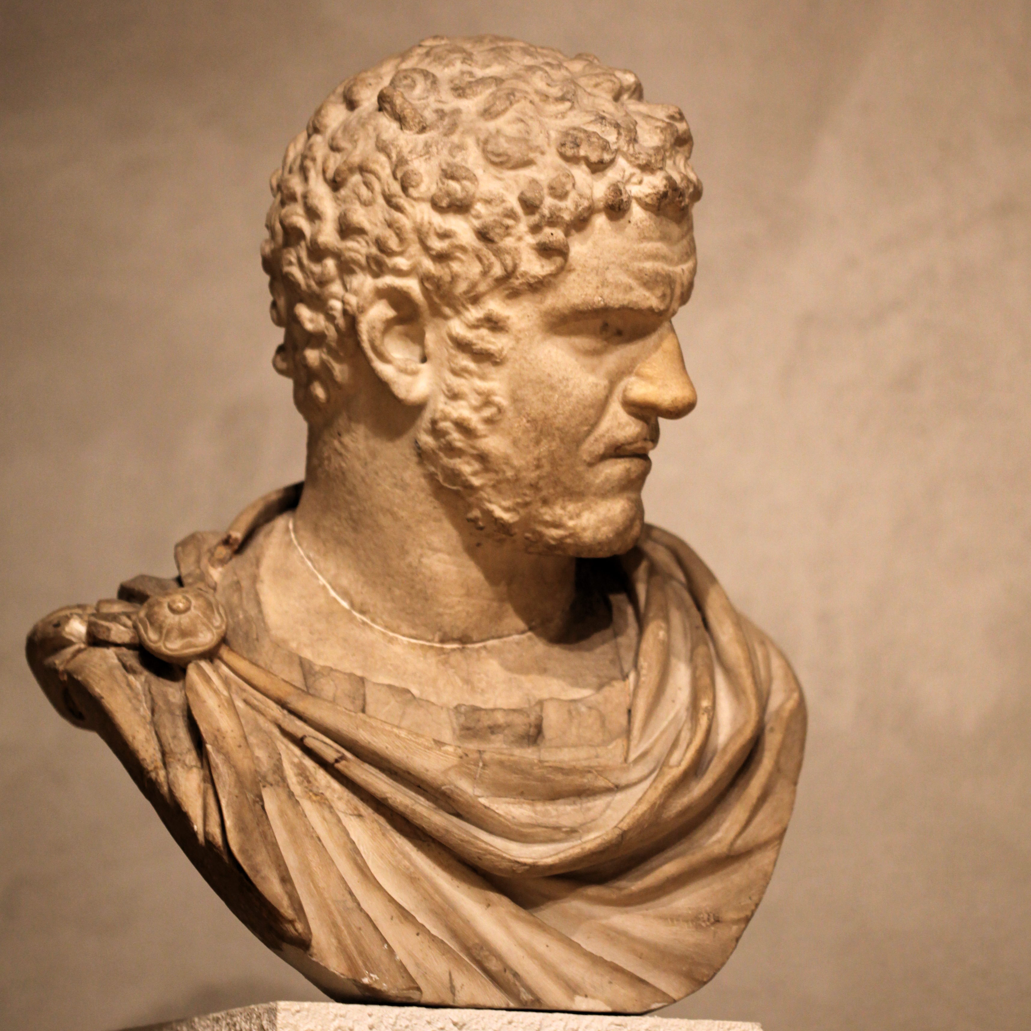 Bust_of_emperor_Caracalla-IMG_9815.JPG