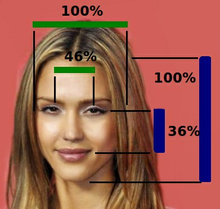 220px-Jessica_Alba_Face_Proportions.png