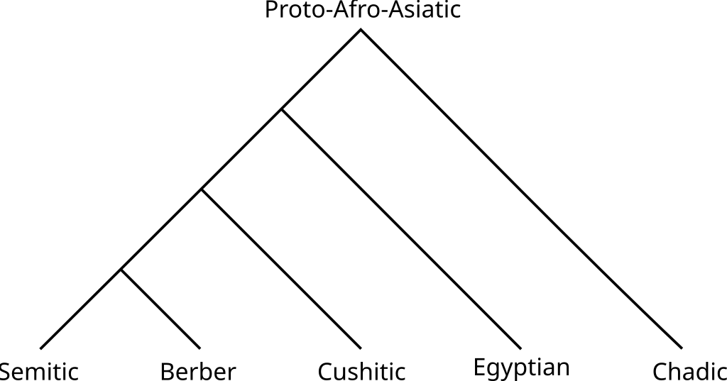 1024px-Interrelations_between_branches_of_Afro-Asiatic.svg.png