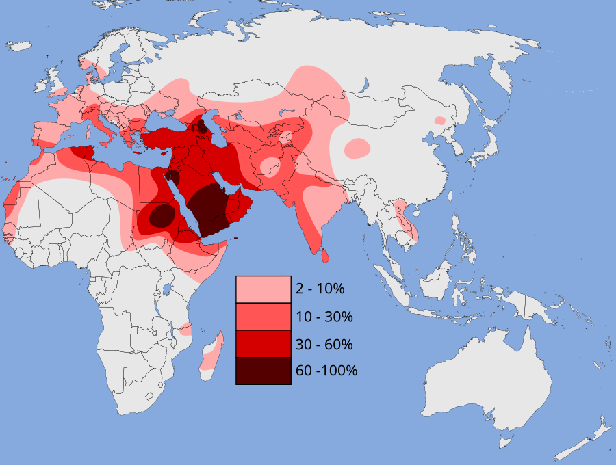 900px-Haplogroup_J_%28Y-DNA%29.svg.png