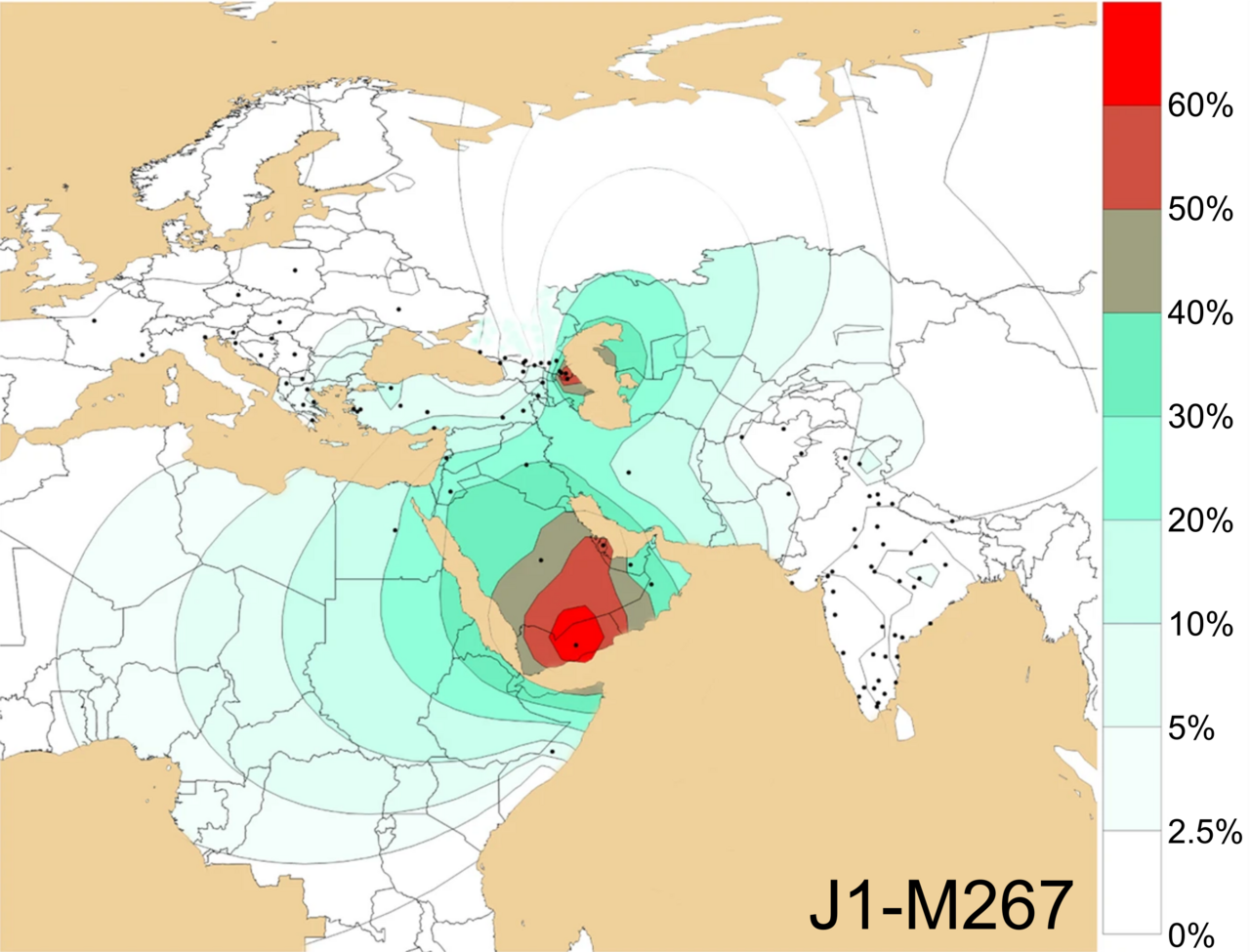 1280px-Geographical_frequency_distribution_of_Haplogroup_J1-M267_%28Y-DNA%29.png