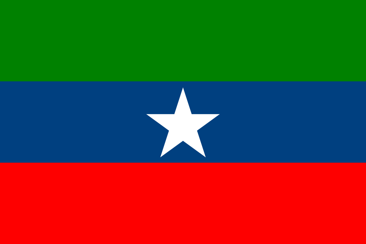 1200px-Flag_of_Ogaden_National_Liberation_Front%282%29.svg.png