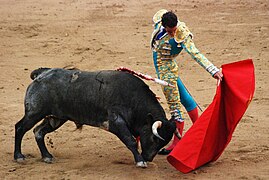 269px-Madrid_Bullfight.JPG