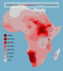220px-Distribution_of_Y-Chromosome_Haplogroup_A_in_Africa.png