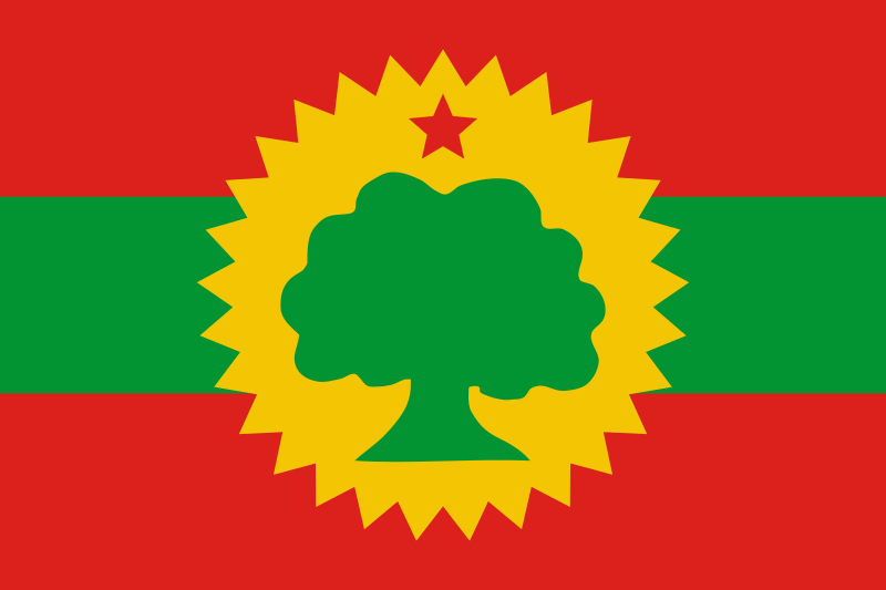 800px-Flag_of_the_Oromo_Liberation_Front.svg.png