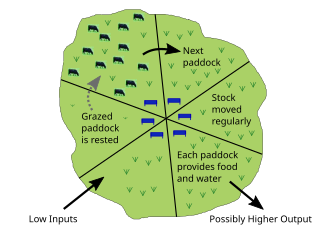 330px-Grazing%2C_rotational.svg.png