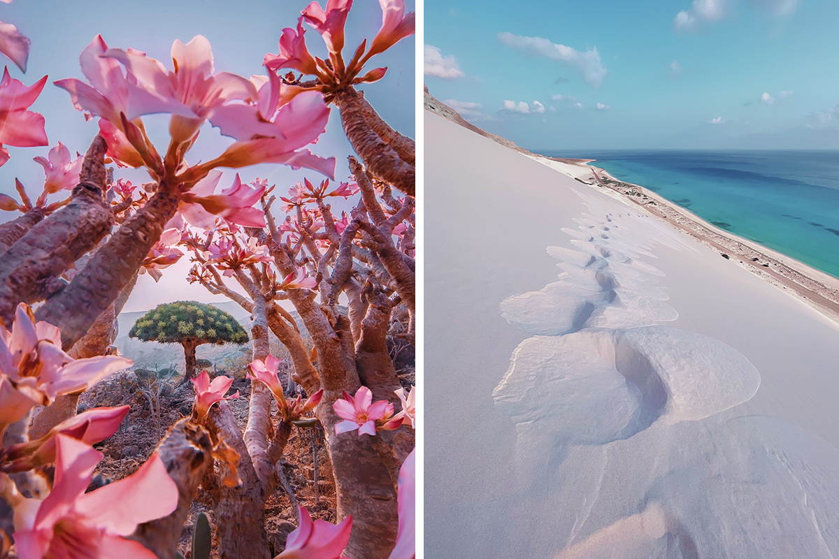 travel-photography-unique-socotra-island-yemen-unique-kristina-makeeva_wide-3-2-6363d11e4fb81.png