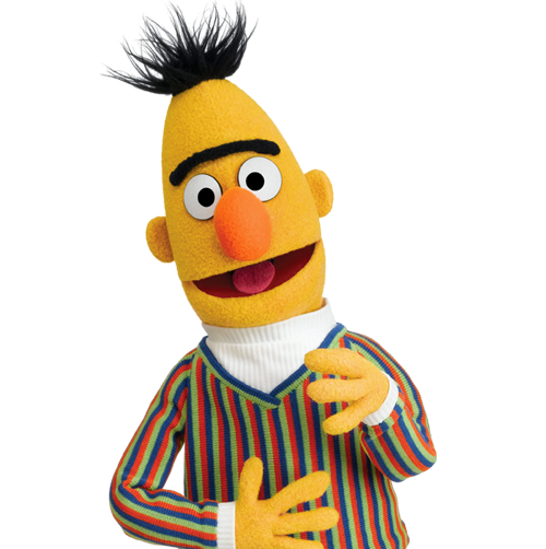 Bert-3.png