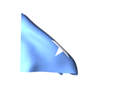 Somalia_240-animated-flag-gifs.gif