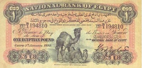 1-egyptian-pound-banknote-two-camels.jpg
